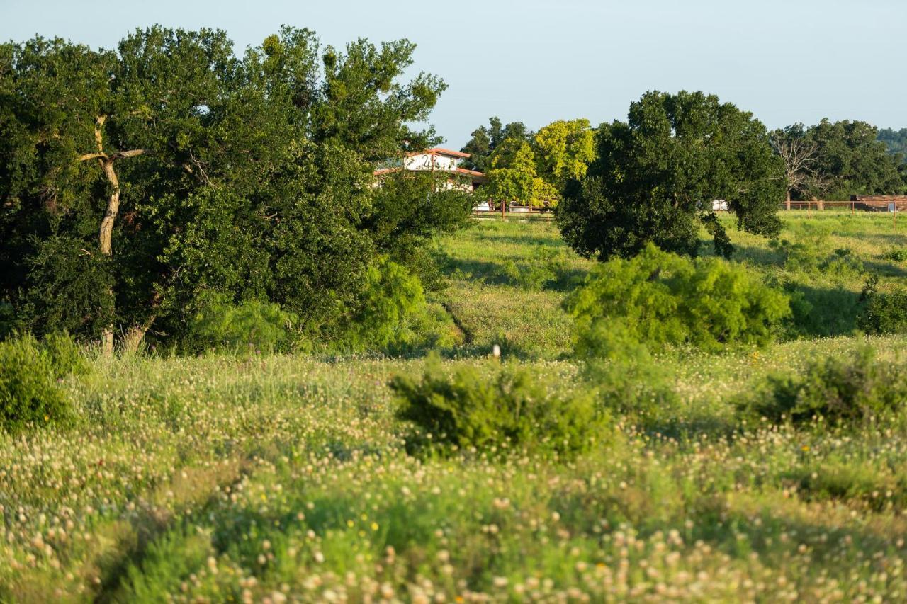 Wildcatter Ranch And Resort Graham Exterior foto